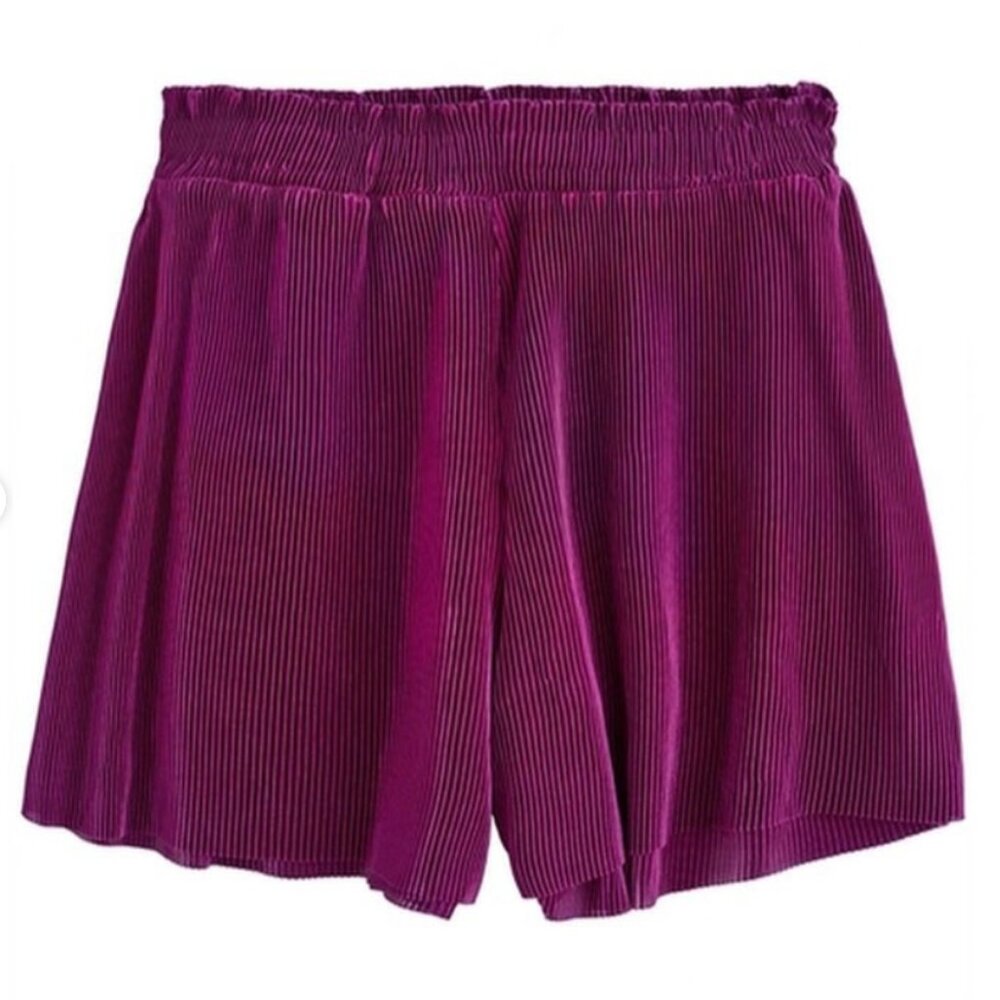 Zara High Waisted Pleated Shorts